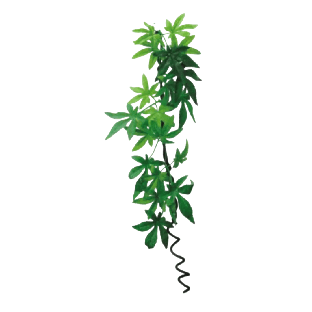 eco-tech-reptile-hanging-albulliton-with-vine-plant-decor
