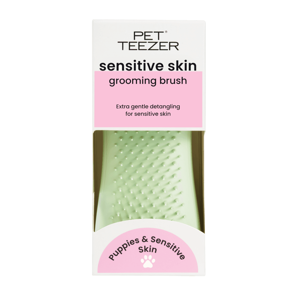 Puppy And Sensitive Skin Soft Gentle Detangler Brush Green