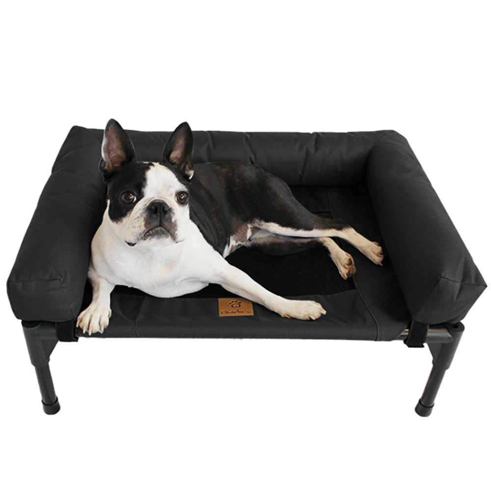 charlies-elevated-trampoline-bolster-dog-sofa-bed-black