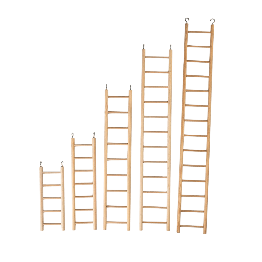 nature-island-plain-wooden-ladder-bird-toy