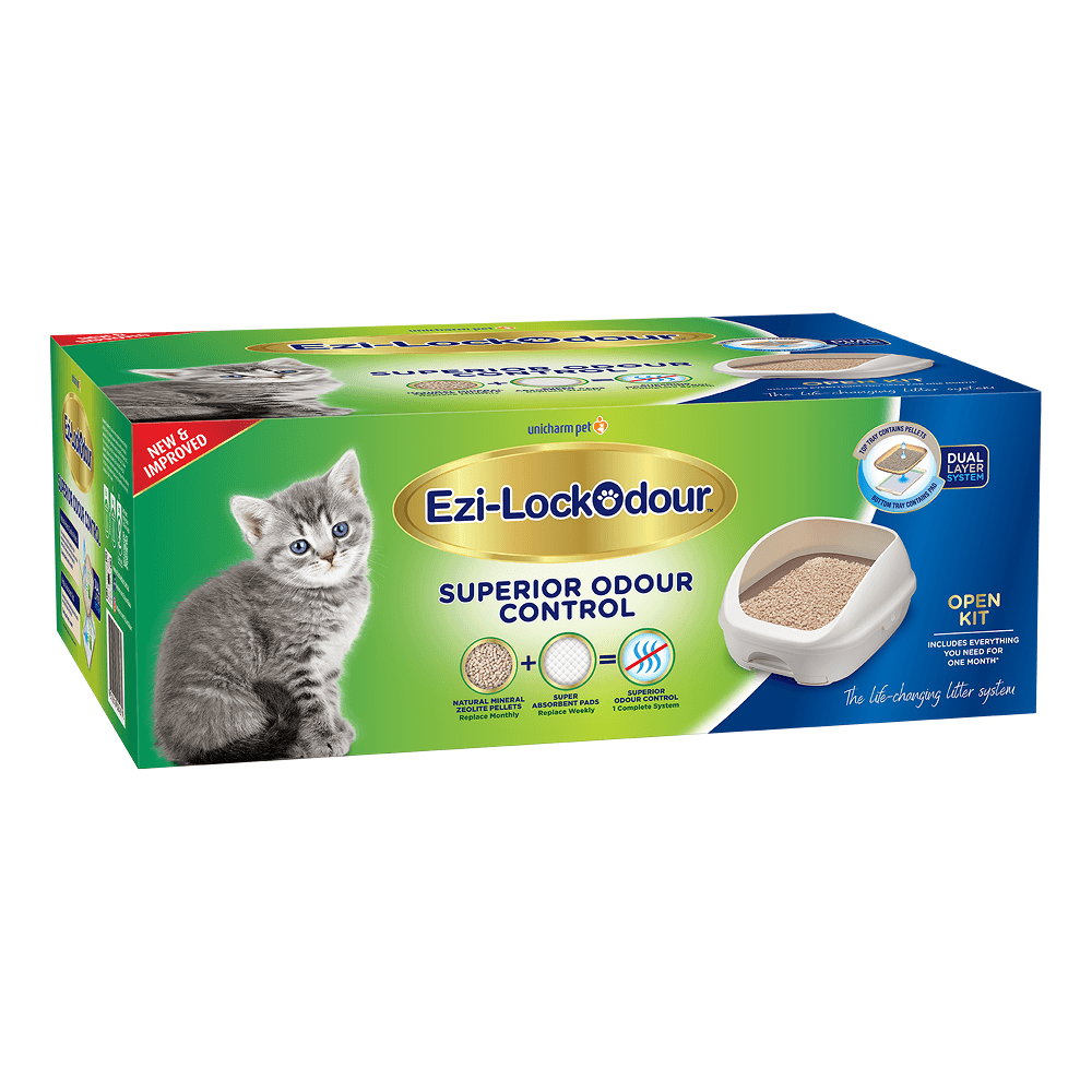 Dual Layer Cat Litter System