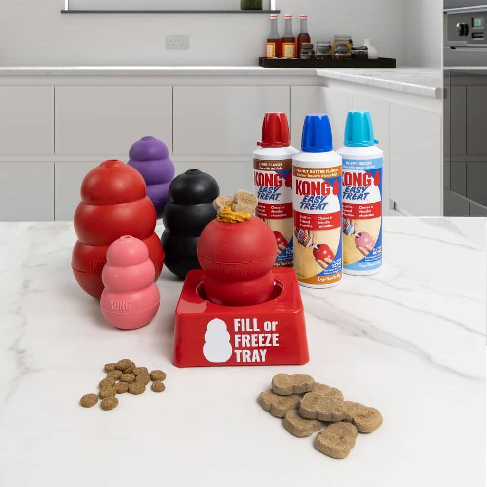KONG Fill Or Freeze Tray For Kong Toys