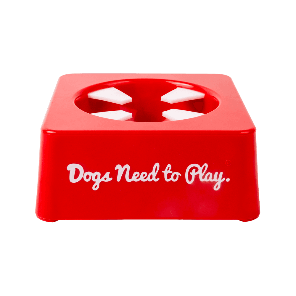 KONG Fill Or Freeze Tray For Kong Toys