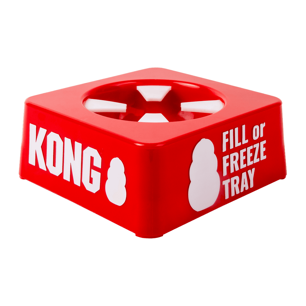 KONG Fill Or Freeze Tray For Kong Toys