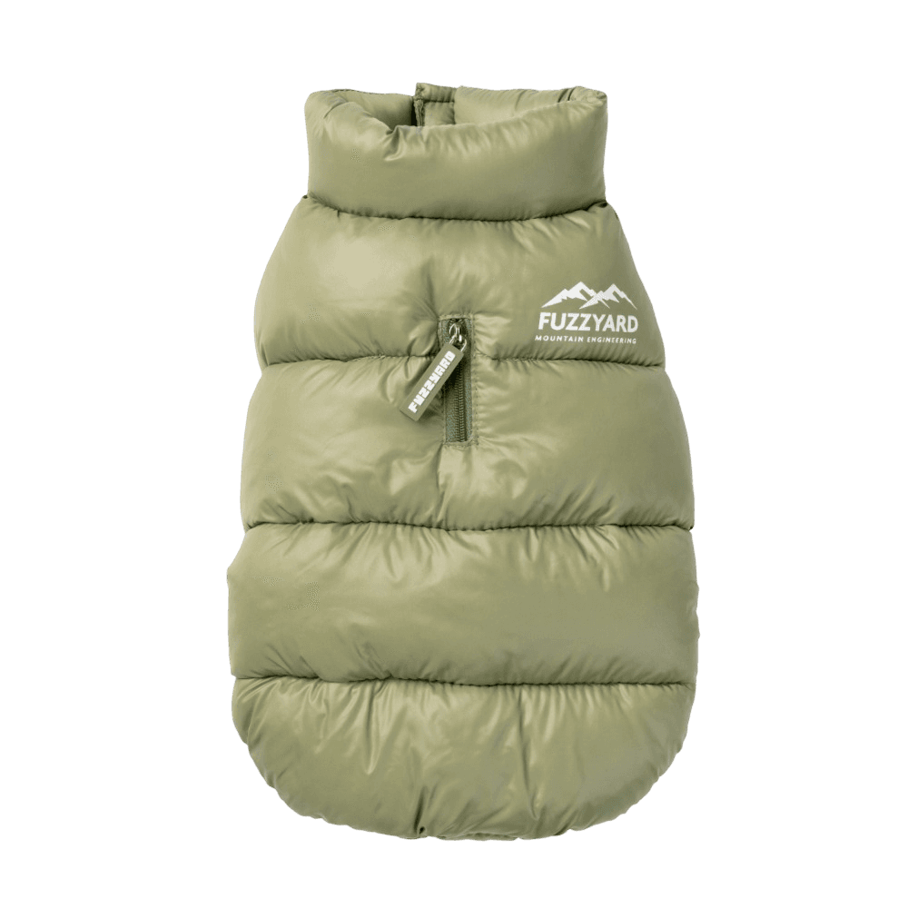 East Harlem Dog Puffer Jacket in Khaki