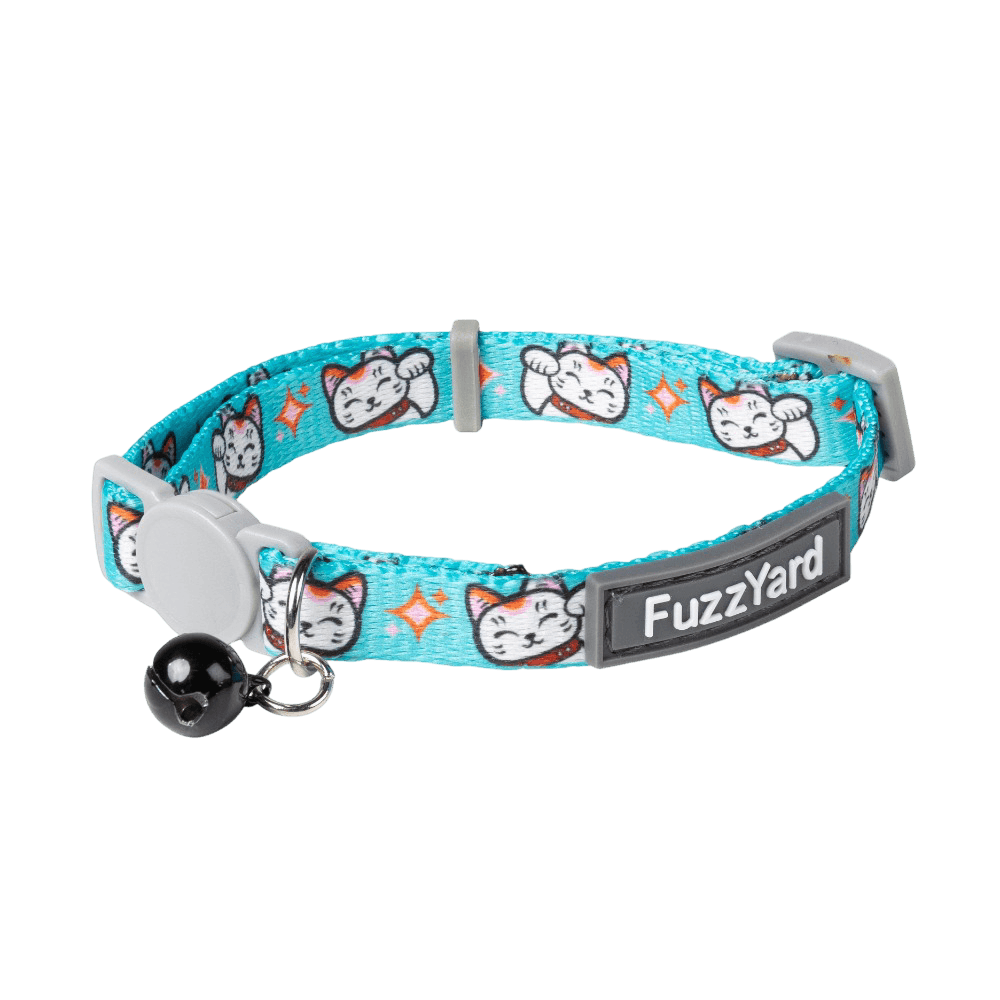 Cat Collar Lucky Fur-Tune Teal