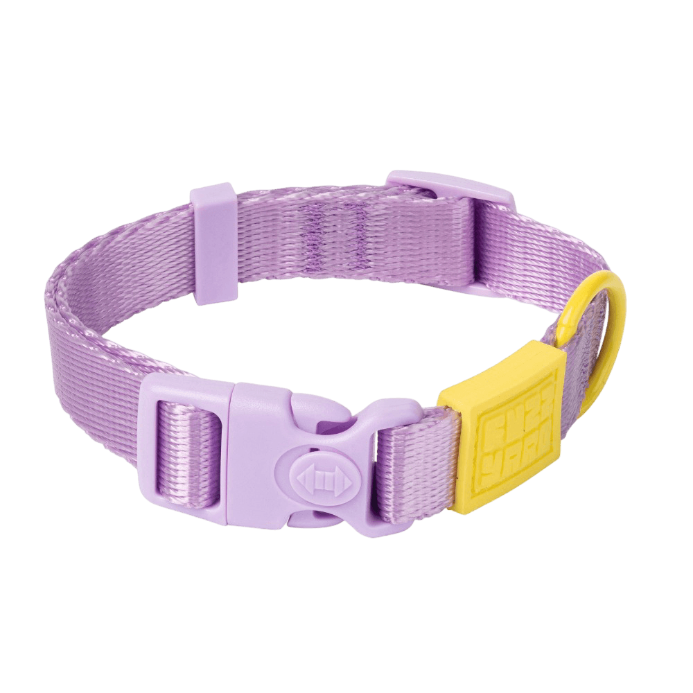 Sugar Rush Dog Collar Sherbet Pop