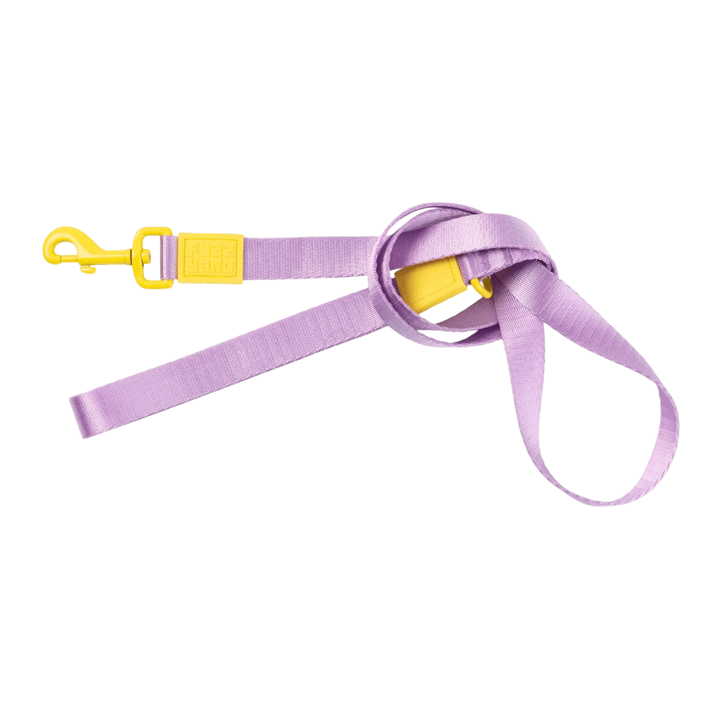 Sugar Rush Dog Lead Sherbet Pop
