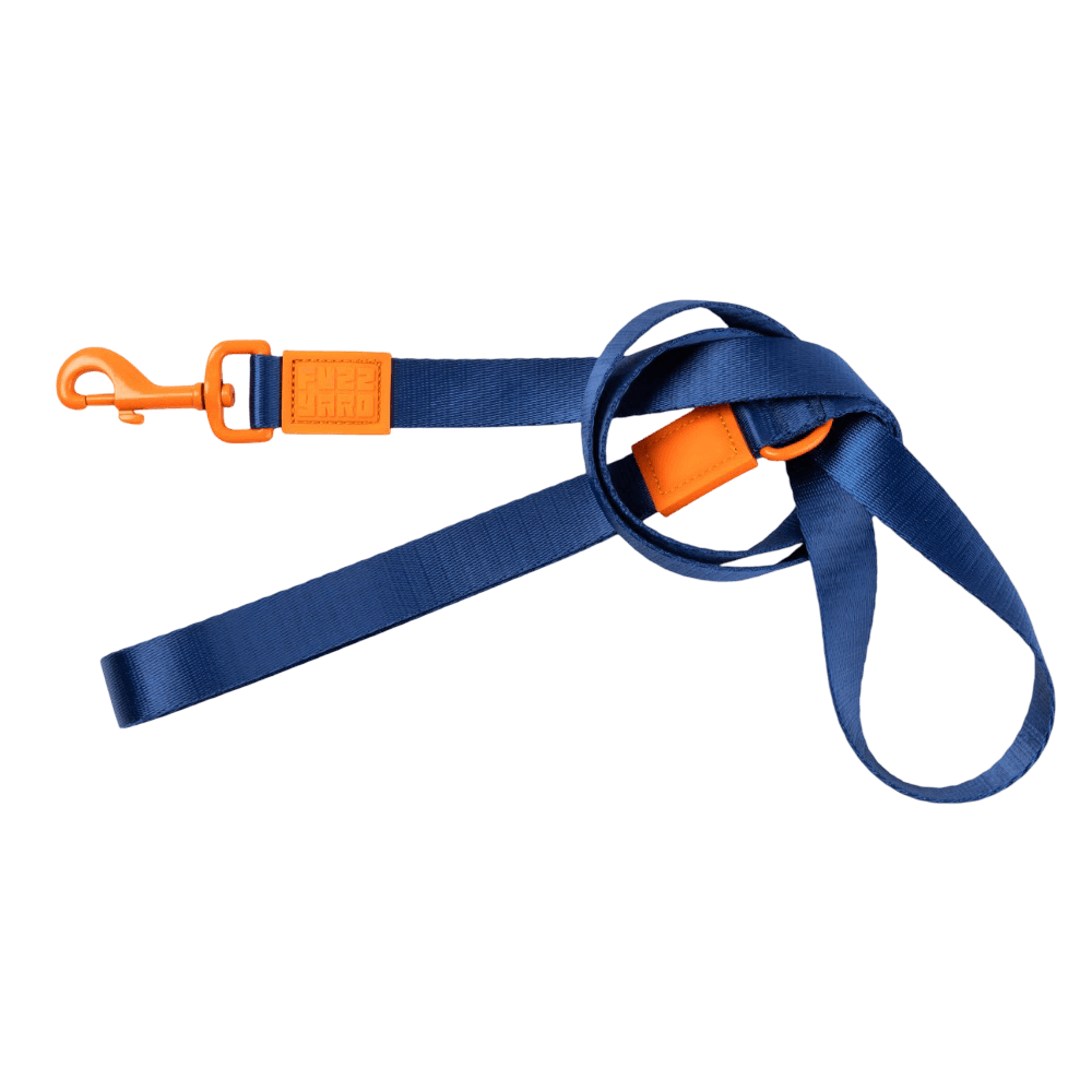 Sugar Rush Dog Lead Tangerine Twist