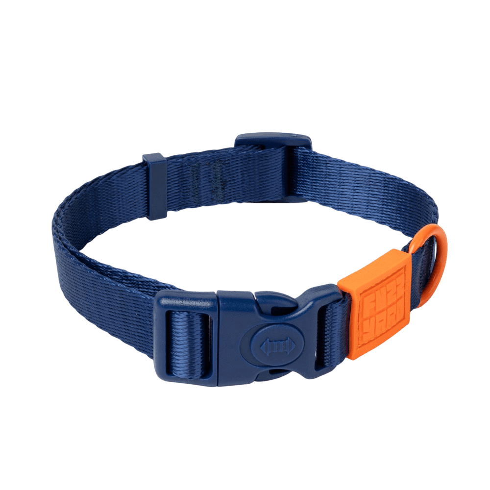 Sugar Rush Dog Collar Tangerine Twist