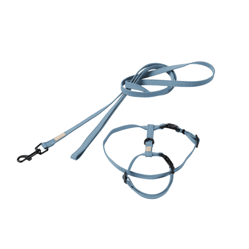 Life Cat Walking Set French Blue