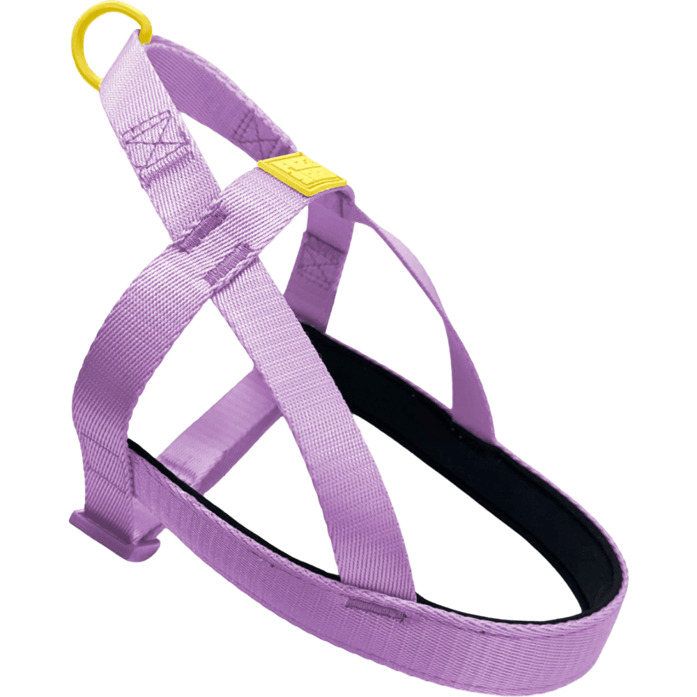 Sugar Rush Comfort Harness Sherbet Pop