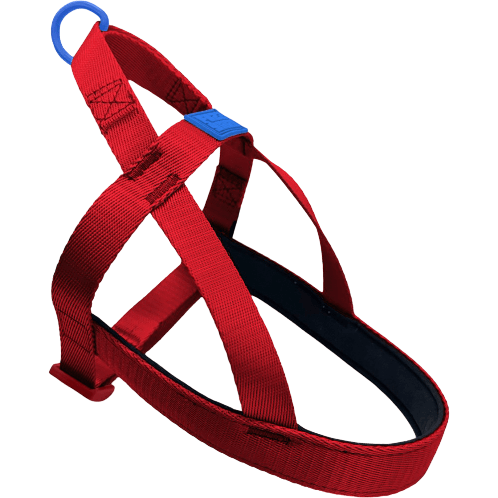 Sugar Rush Comfort Harness Cherry Charge