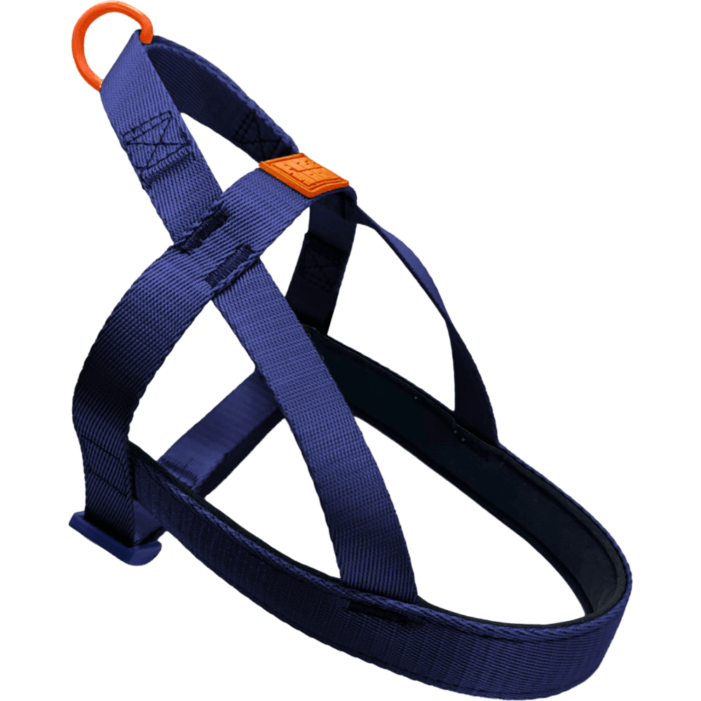 Sugar Rush Comfort Harness Tangerine Twist