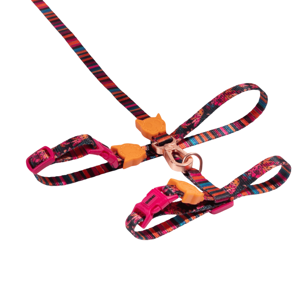Selva Cat Leash and Harness Set