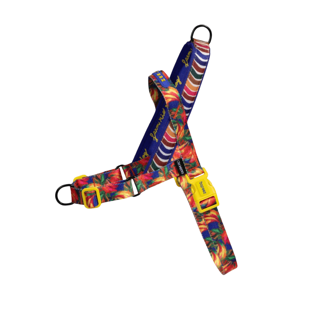 Samba Softer Walk Dog Harness