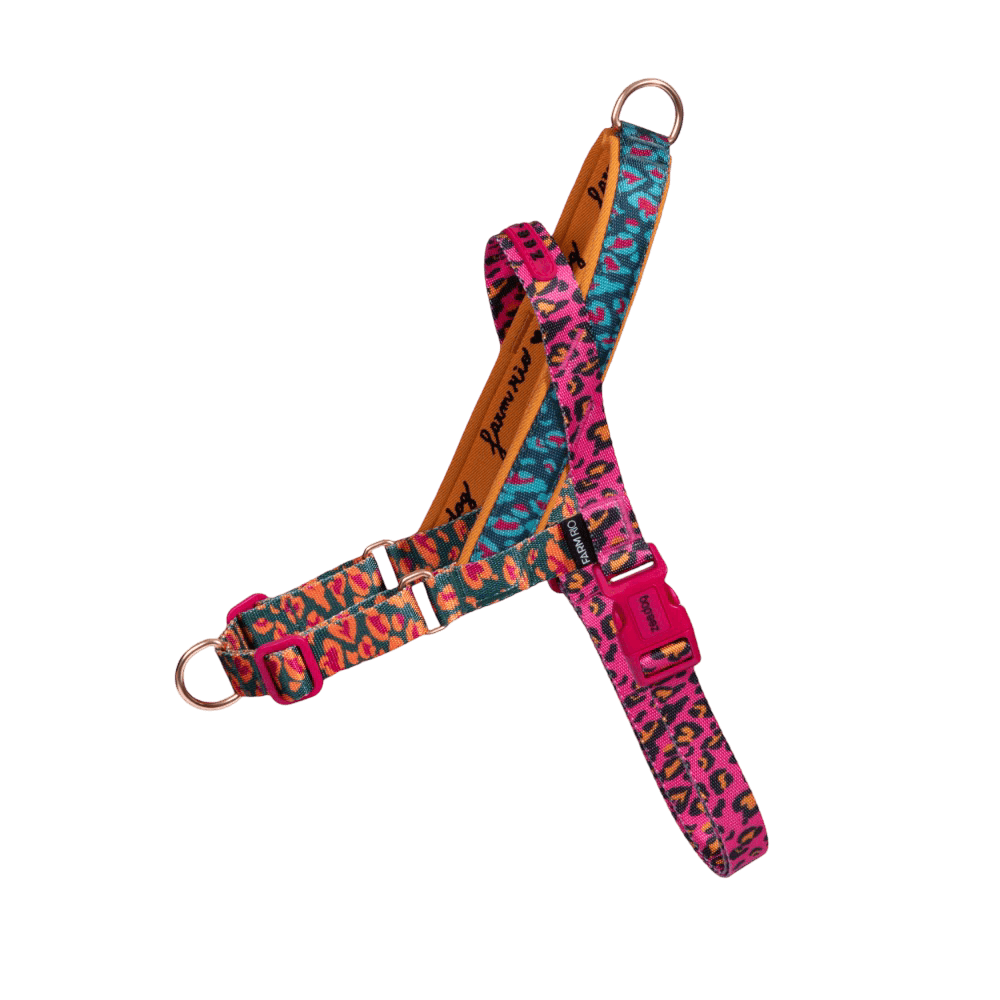 Selva Softer Walk Dog Harness
