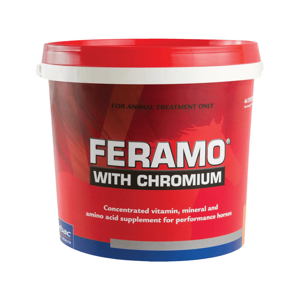 feramo-h-with-chromium-horse-supplement