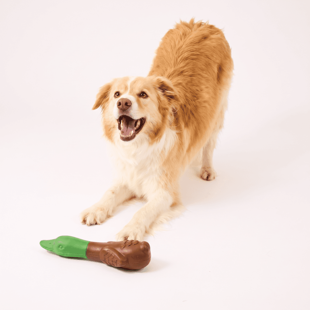 Paws for Life Duck Floaty Dog Toy