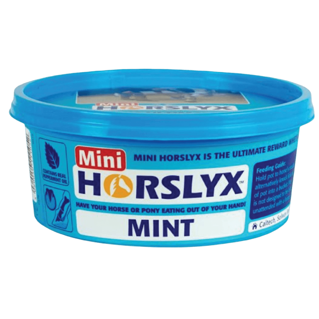 horslyx-mint-mini-vitamin-and-mineral-lick