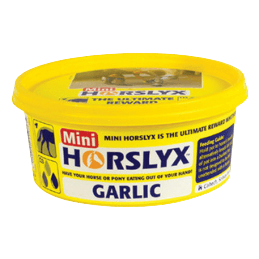 horslyx-garlic-mini-vitamin-and-mineral-lick