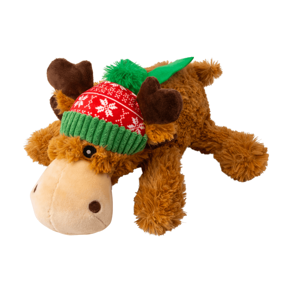 Better Bundles Christmas Medium and Large Dog Bundle