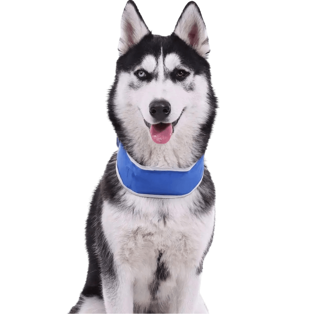 paws-for-life-cooling-velcro-collar