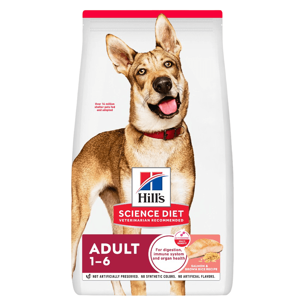 Salmon Adult Dry Dog Food