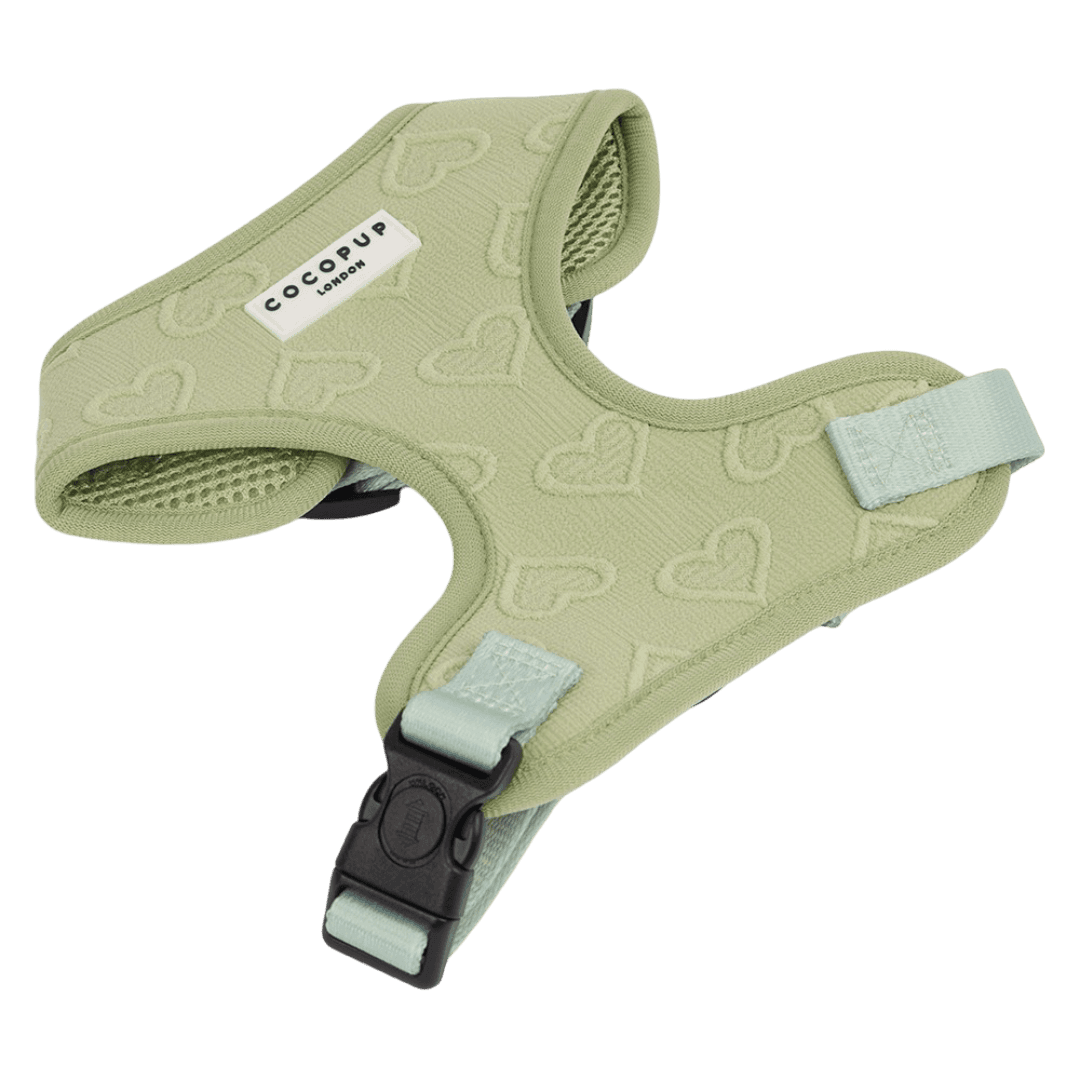 cocopup-london-adjustable-neck-dog-harness-sage-heart