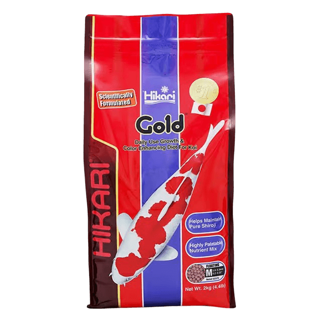 hikari-gold-medium