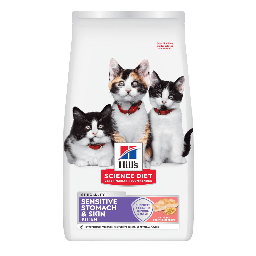 hills-science-diet-sensitive-stomach-and-skin-salmon-brown-rice-kitten-dry-cat-food