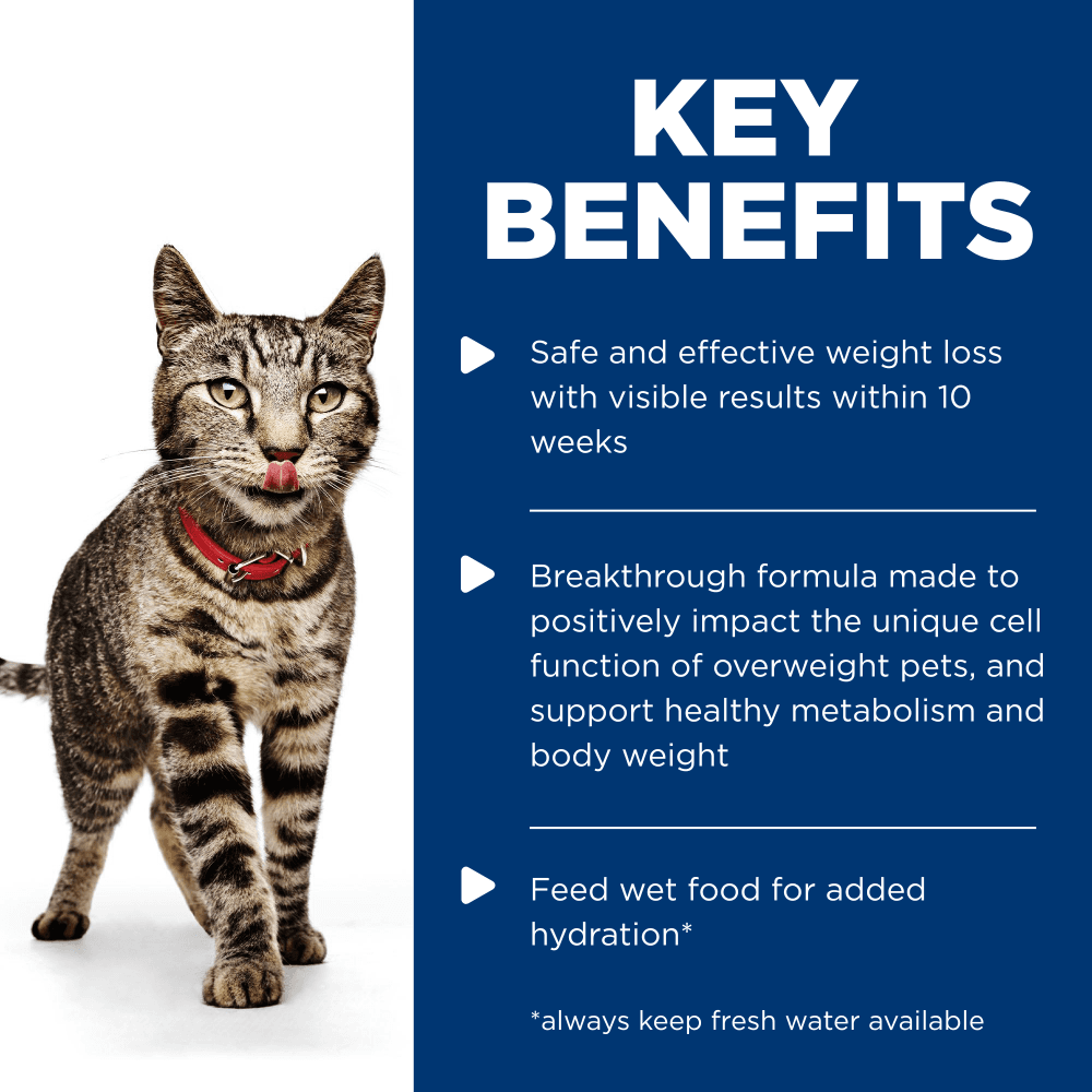 Hills Science Diet Adult Perfect Weight Variety Pack Wet Cat Food