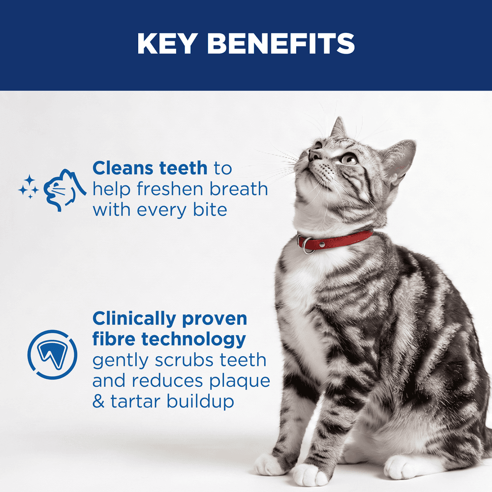 Hills Science Diet Oral Care Adult Dry Cat Food