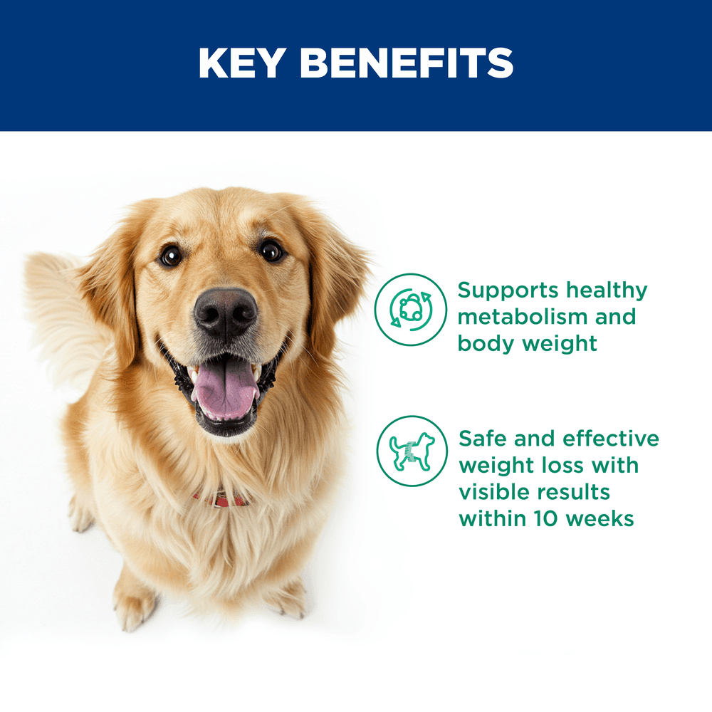 Hills Science Diet Perfect Weight Chicken Recipe Adult Dry Dog Food