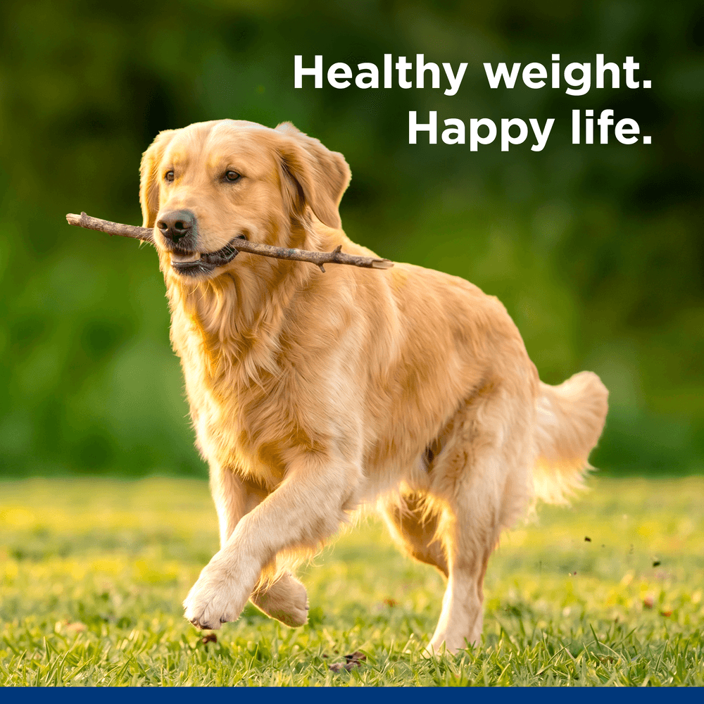 Hills Science Diet Perfect Weight Chicken Recipe Adult Dry Dog Food