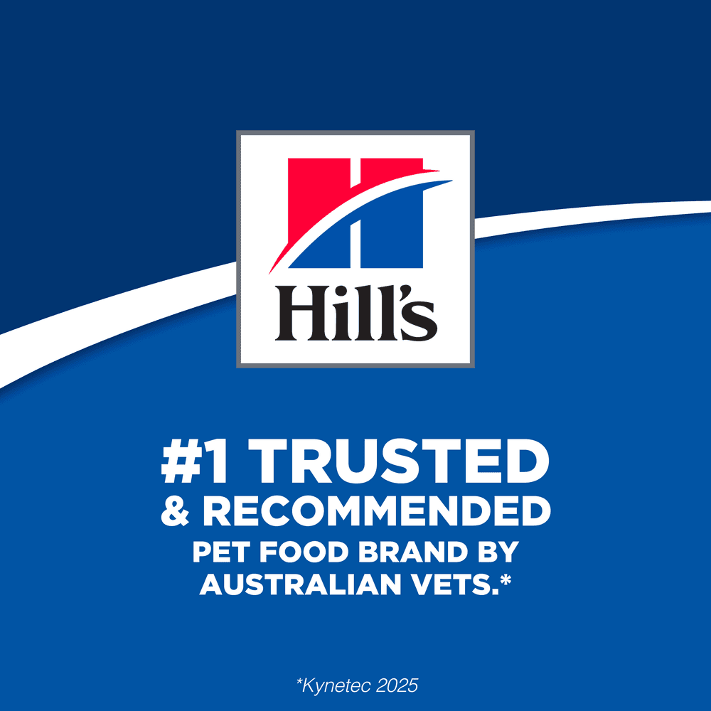 Hills Science Diet Perfect Weight Chicken Recipe Adult Dry Dog Food