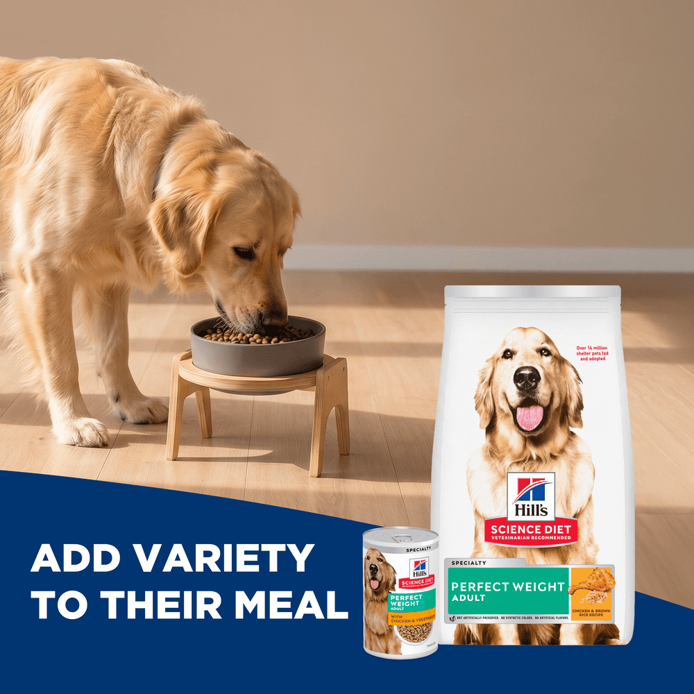 Hills Science Diet Perfect Weight Chicken Recipe Adult Dry Dog Food