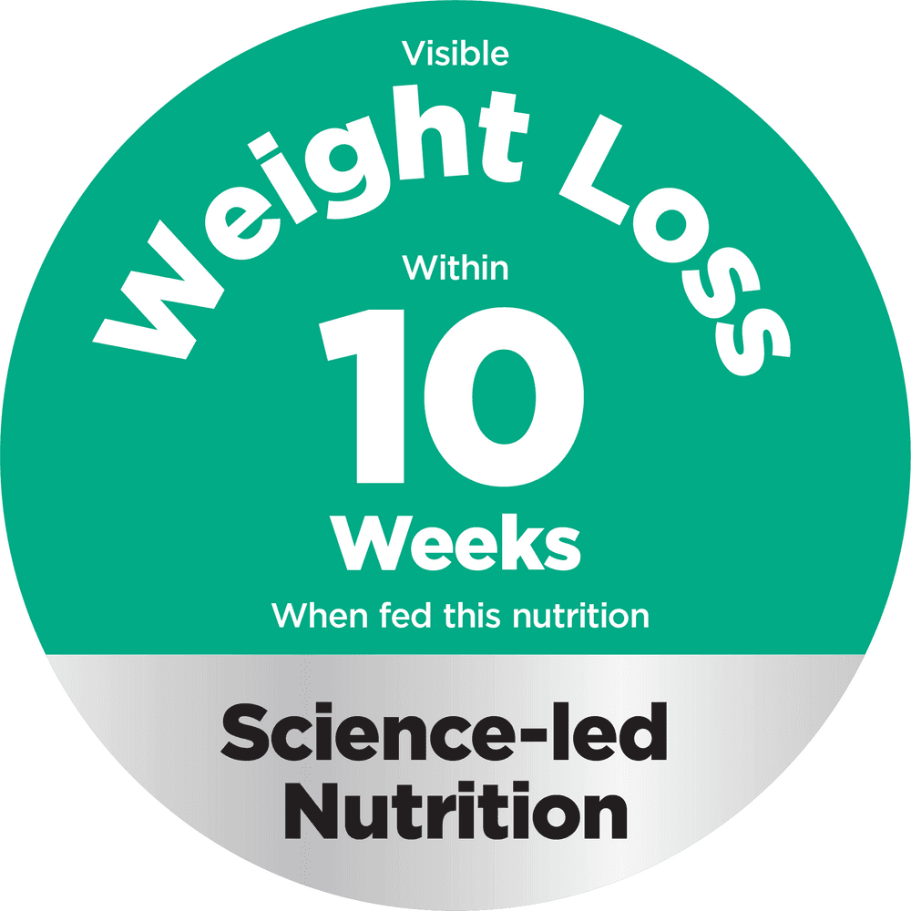 Hills Science Diet Perfect Weight Chicken Recipe Adult Dry Dog Food