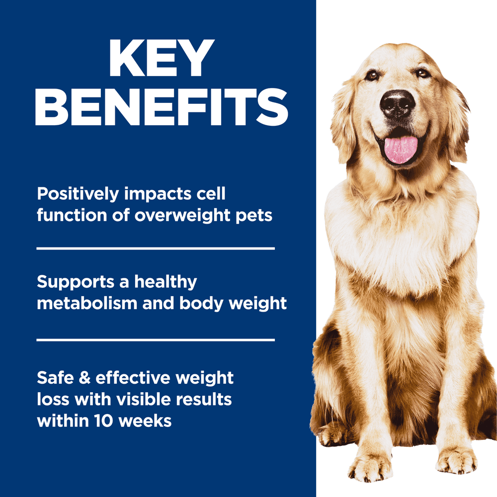 Hills Science Diet Perfect Weight Chicken Recipe Adult Dry Dog Food