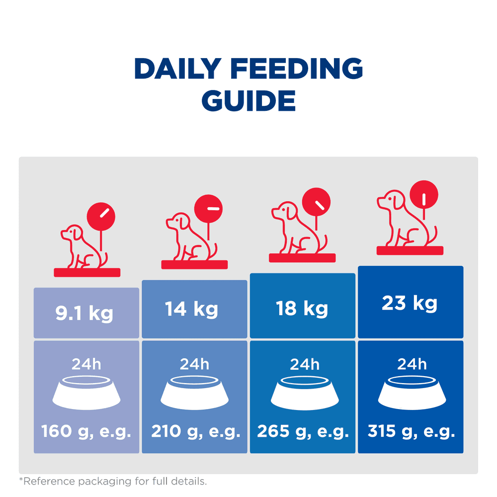 Hills Science Diet Sensitive Stomach & Skin Adult Dry Dog Food