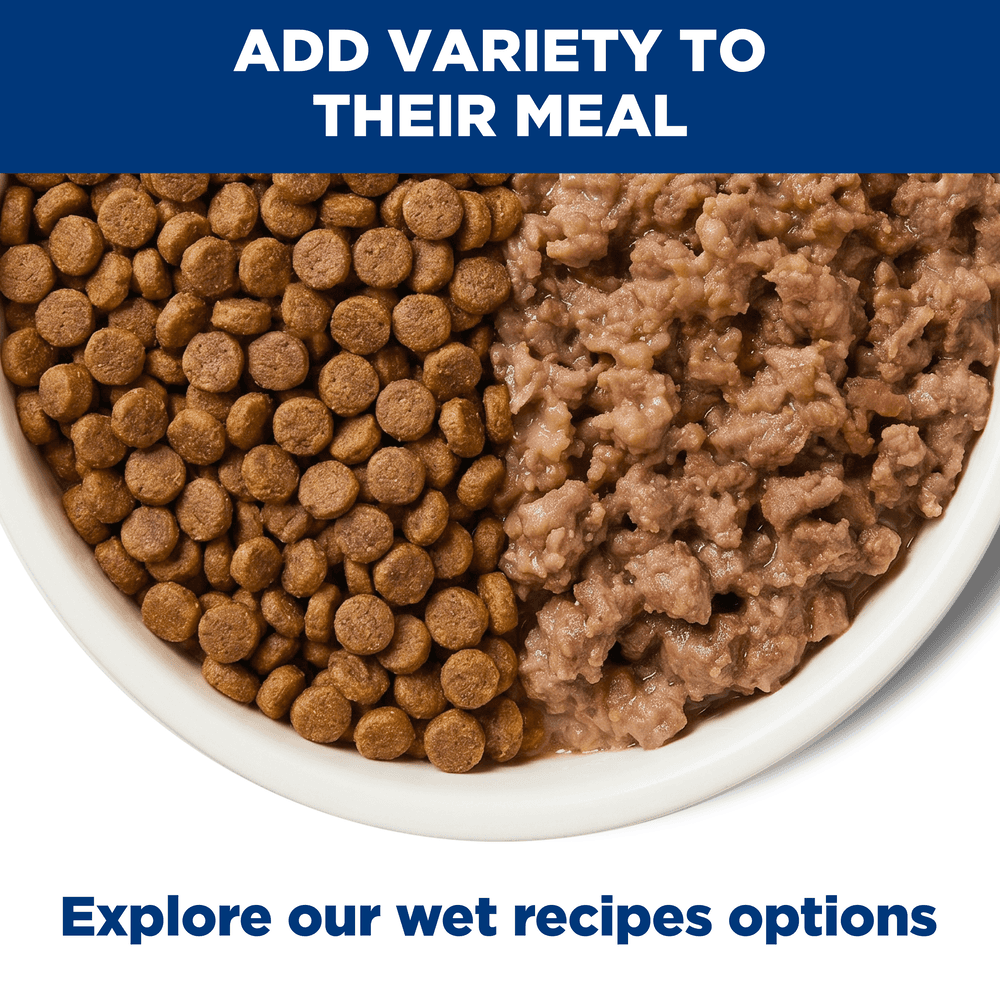 Hills Science Diet Sensitive Stomach & Skin Adult Dry Dog Food