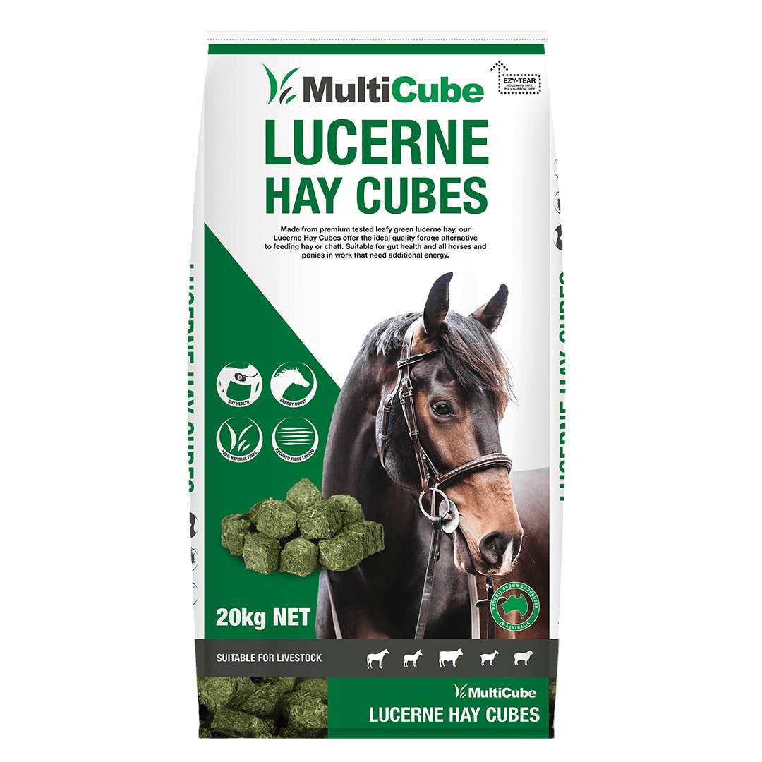 multicube-lucerne-hay-cubes-horse-food