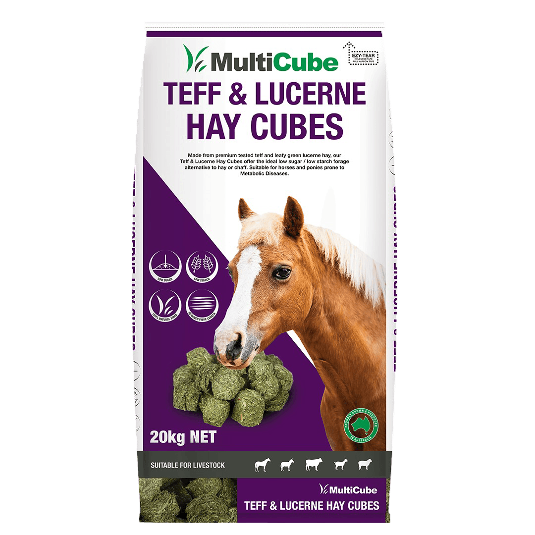multicube-pasture-lucerne-teff-hay-cubes-horse-food