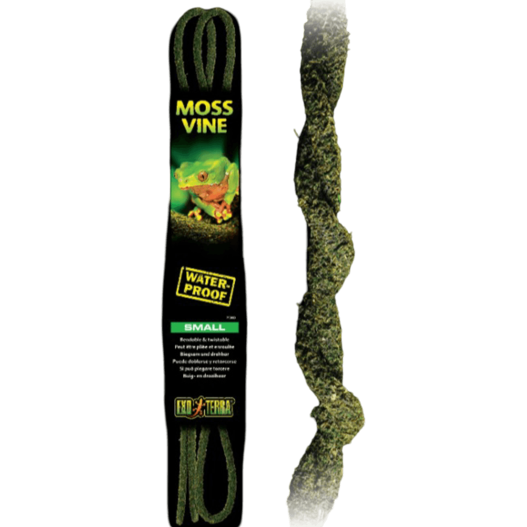 exo-terra-bendable-moss-vine-for-aboreal-reptiles-and-amphibians