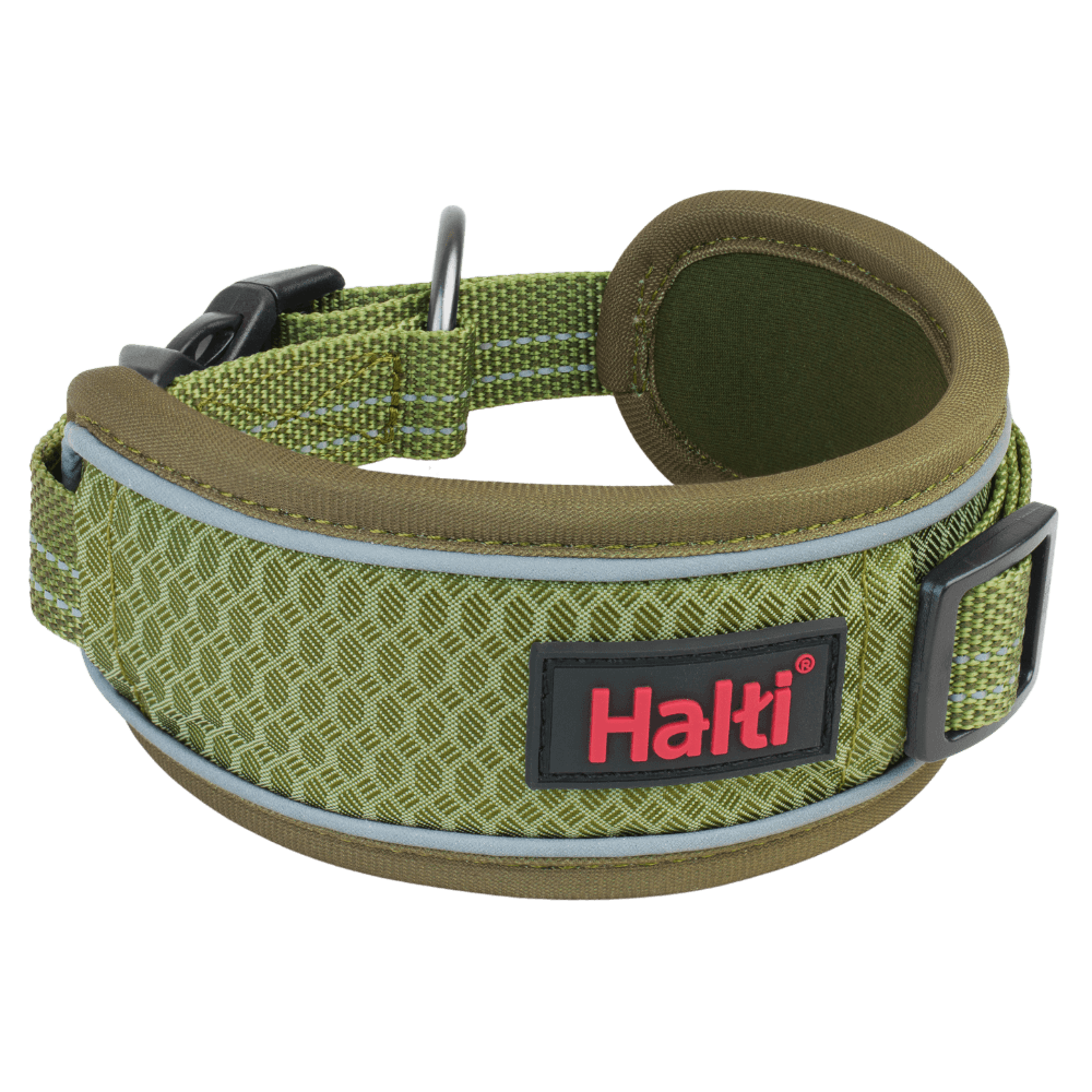 Anatomy Dog Collar Green