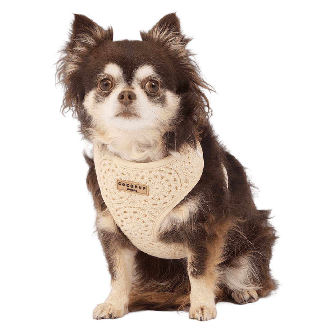 cocopup-london-adjustable-neck-dog-harness-festival-crochet