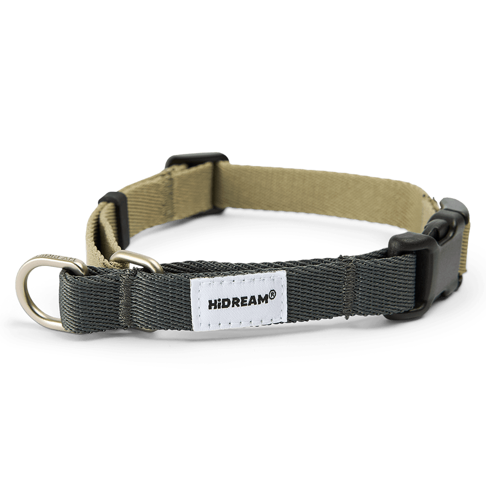 hi-dream-half-p-chain-training-dog-collar-sage