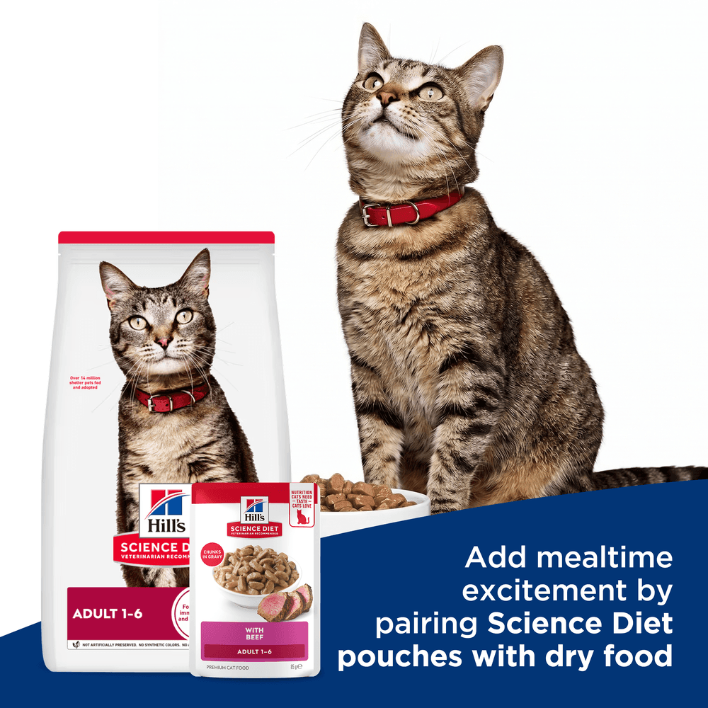 Hills Science Diet Adult Beef Wet Cat Food Pouches