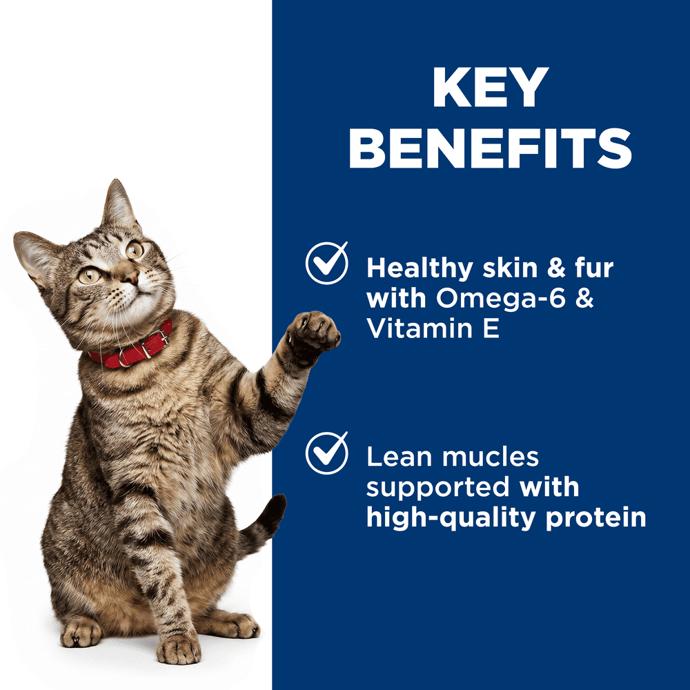 Hills Science Diet Adult Beef Wet Cat Food Pouches