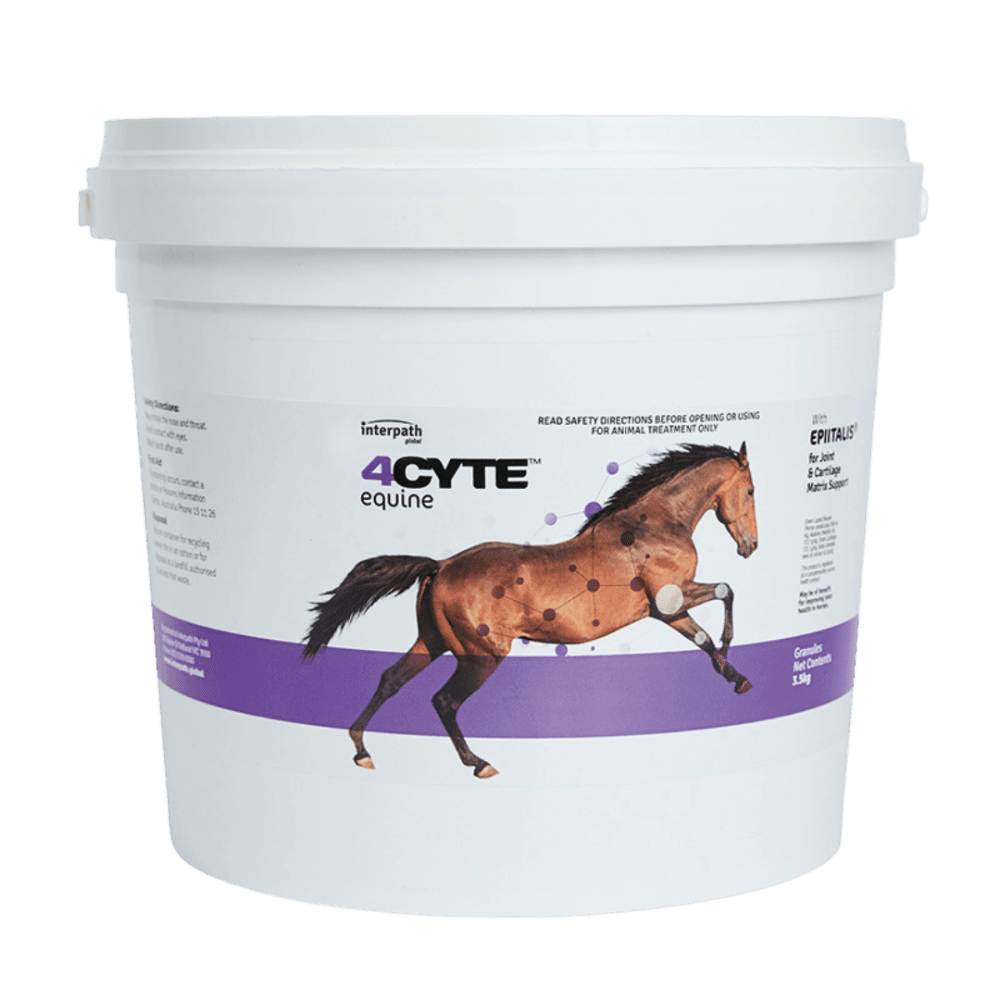 4cyte-equine-granules-supports-joint-health